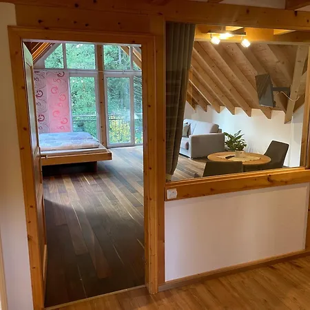 Waldvogel Apartment