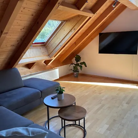 Apartment Waldvogel Titisee-Neustadt